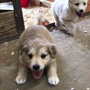 More items coming soon!!!